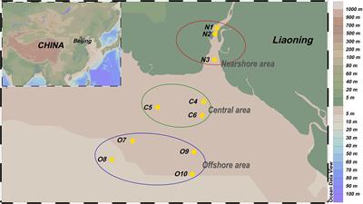 16S Next-generation sequencing and quantitative PCR reveal the distribution of potential pathogens in the Liaohe Estuary